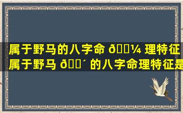 属于野马的八字命 🌼 理特征「属于野马 🌴 的八字命理特征是什么」